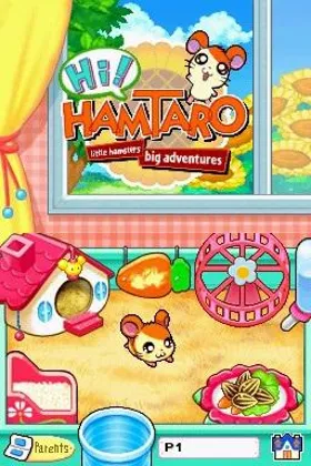 Hi! Hamtaro - Ham-Ham Challenge (USA) screen shot title